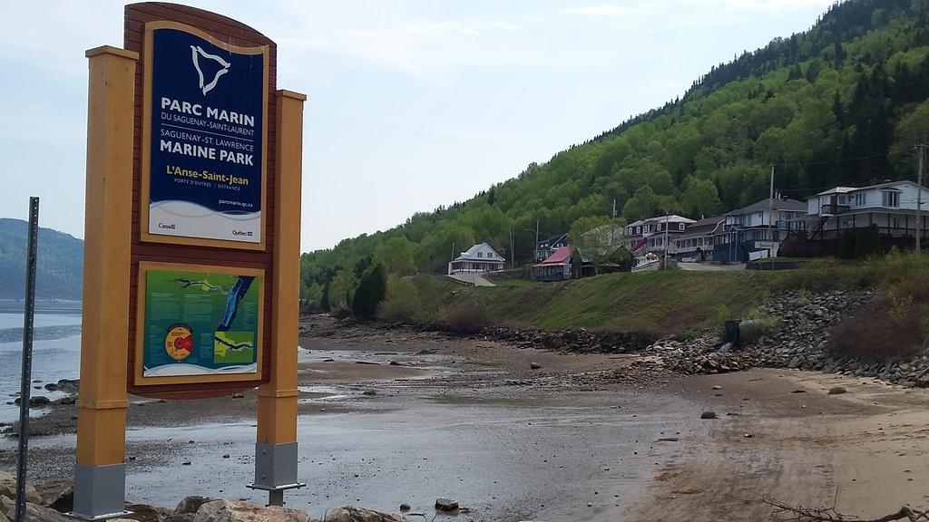 Apartement Mirador Du Fjord L'Anse-Saint-Jean Bagian luar foto