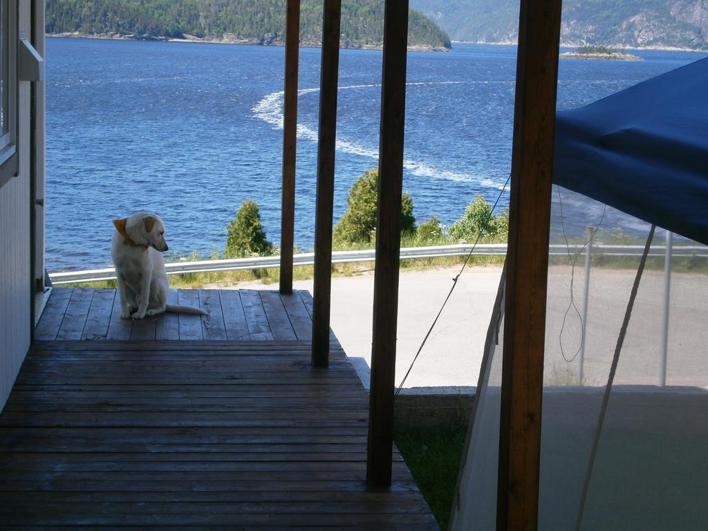 Apartement Mirador Du Fjord L'Anse-Saint-Jean Bagian luar foto
